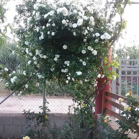 Mayia Bungalow Σπίτι διακοπών Τίμη