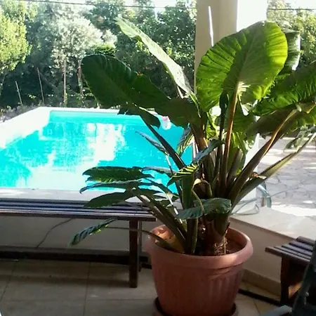 Σπίτι διακοπών Mayia Bungalow