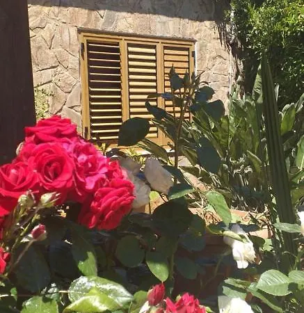 Σπίτι διακοπών Mayia Bungalow Τίμη