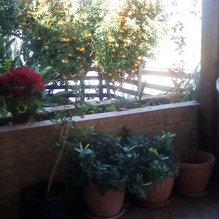 Mayia Bungalow